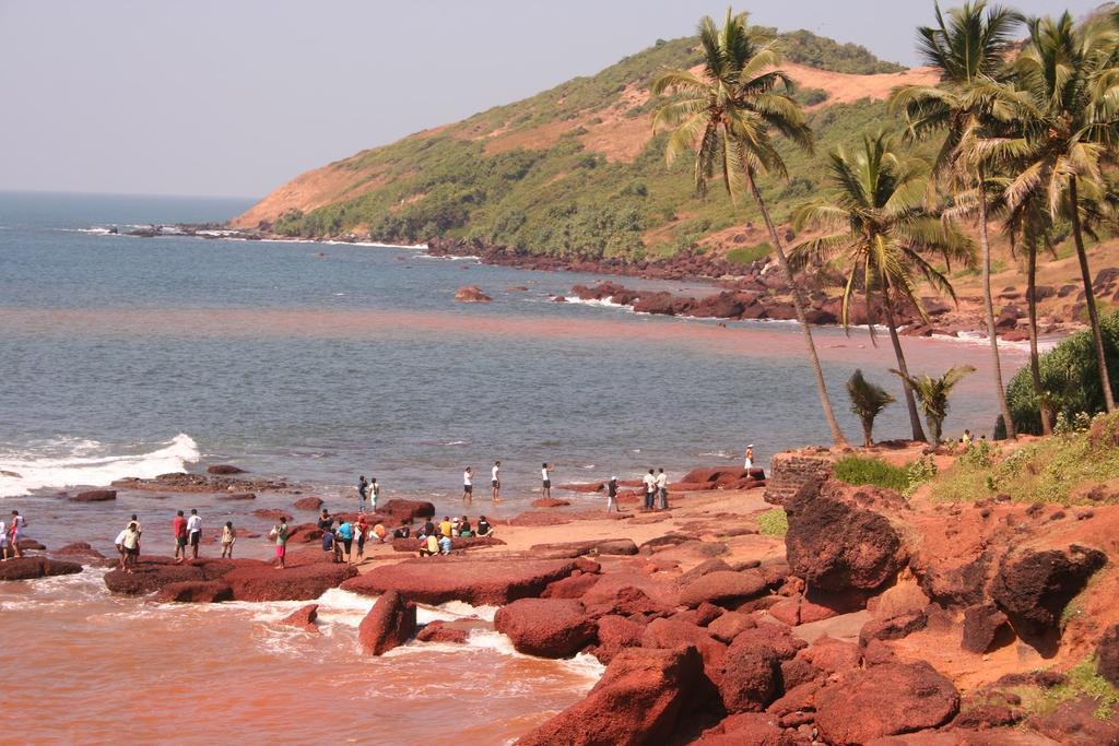 A Vivenda * Anjuna